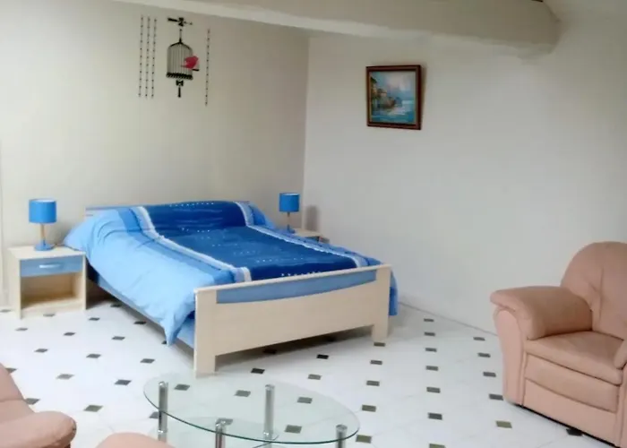 Villa Spacieuse Avec Piscine Privee A Ranton - 330 M² *