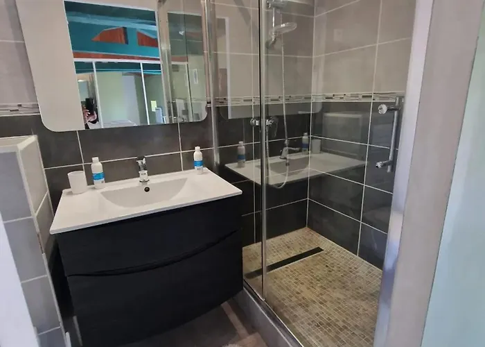 别墅 Villa Spacieuse Avec Piscine Privee A Ranton - 330 M² *